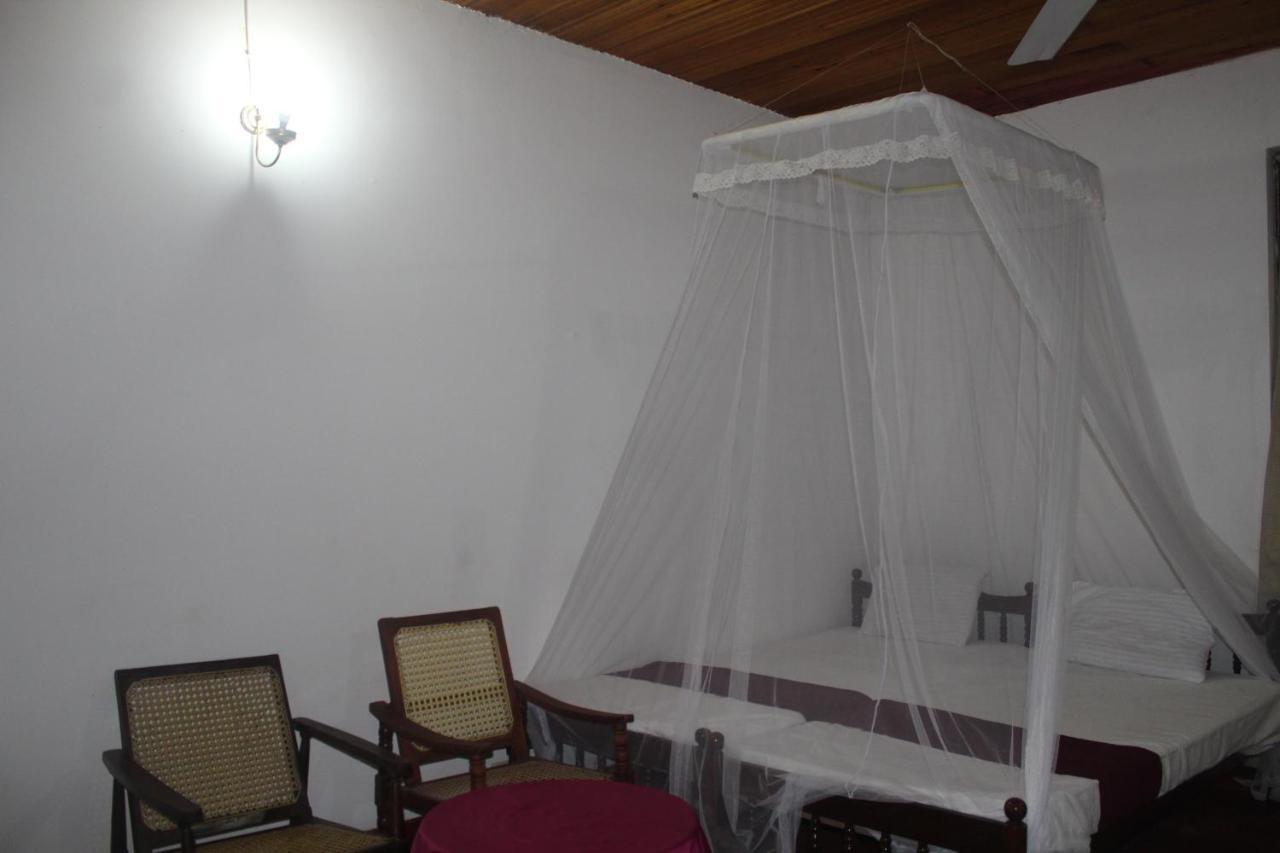 Lazy Bear Best Hostel In Kandy Eksteriør bilde