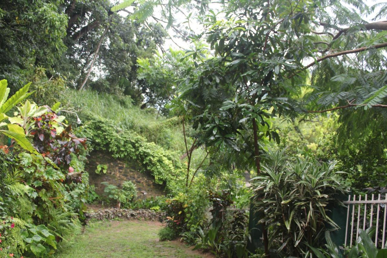 Lazy Bear Best Hostel In Kandy Eksteriør bilde