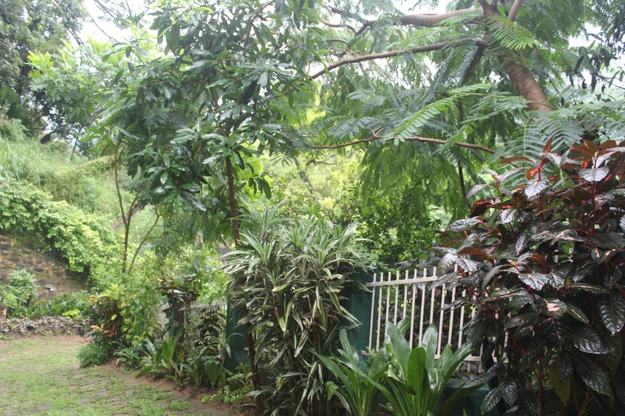 Lazy Bear Best Hostel In Kandy Eksteriør bilde