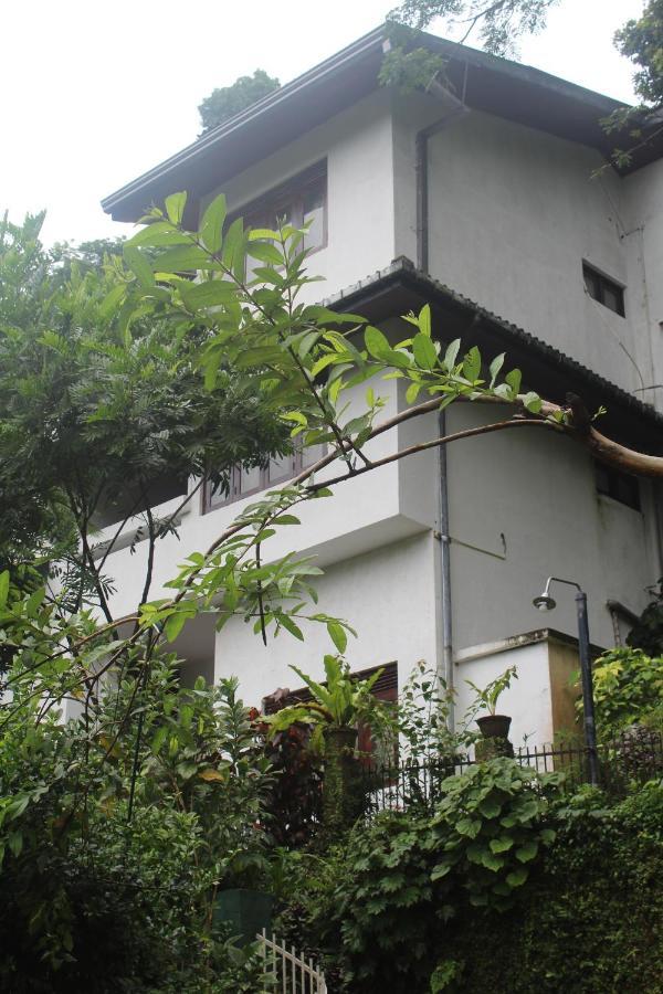Lazy Bear Best Hostel In Kandy Eksteriør bilde