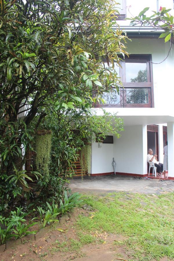 Lazy Bear Best Hostel In Kandy Eksteriør bilde