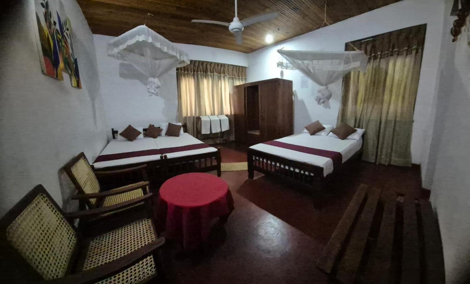 Lazy Bear Best Hostel In Kandy Eksteriør bilde